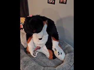 @AngryBarks from the Vet's office teaches your how to milk your puppy boyfriend ????‍????????