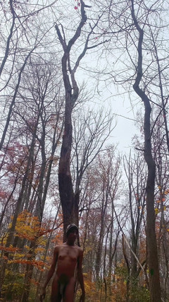 Piss and Bate in the Woods