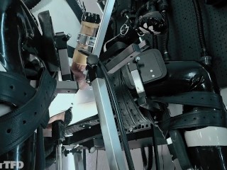 RUBBER PUP BOUND [PP TRAINING]