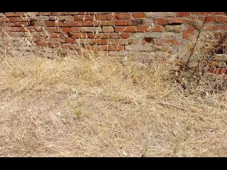 Andiamo sempre alla ricerca dei casolari abbandonati